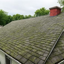 Roof Algae in New Jersey: Safe Soft-Wash Methods That Protect Your Shingles